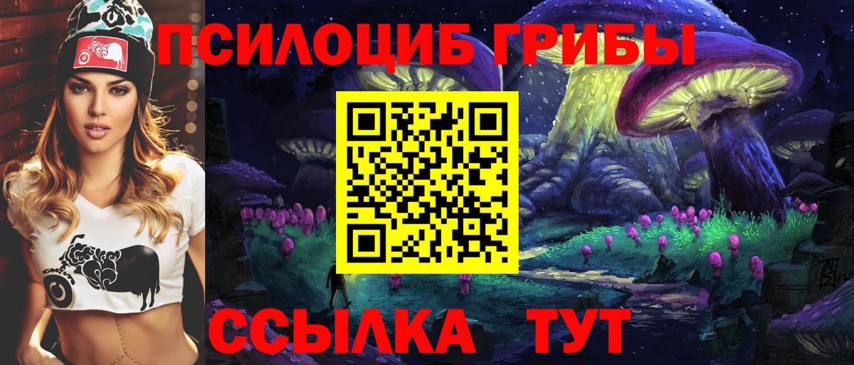 Псилоцибиновые грибы Cubensis  Вход с VPN  купить закладку  Галлюциногенные грибы Cubensis  Старая Купавна 